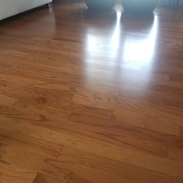 Hardwood floor after Cleaning